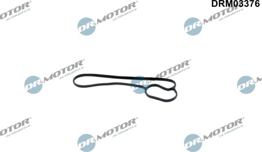 Pakning vannpumpe DR.MOTOR AUTOMOTIVE DRM03376