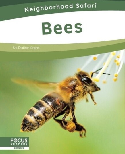 Bees Bees