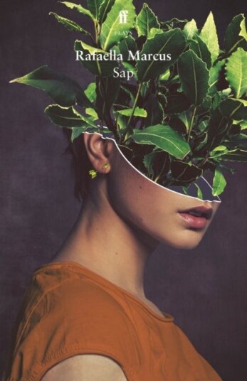 Sap Sap
