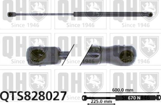 QUINTON HAZELL QTS828027 Baklukedemper