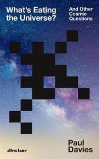 What'S Eating The Universe? Av Paul Davies