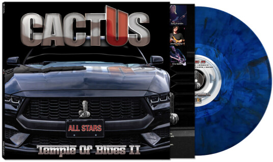 Temple Of Blues II: AllStars