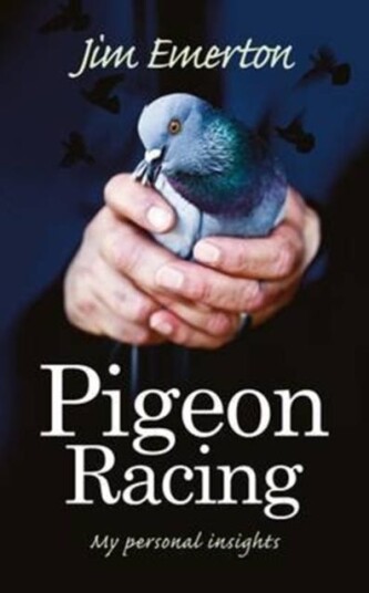 Pigeon Racing My Personal Insights Pigeon Racing My Personal Insights