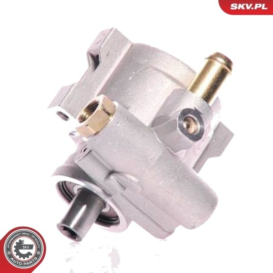 ESEN SKV 10SKV154 Servopumpe