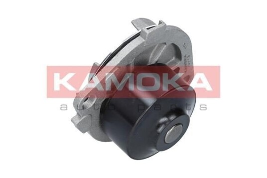 Vannpumpe KAMOKA T0113