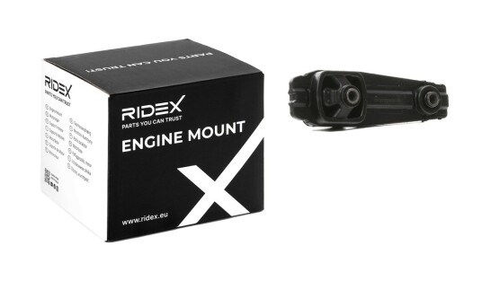 Motorfeste RIDEX 247E0061