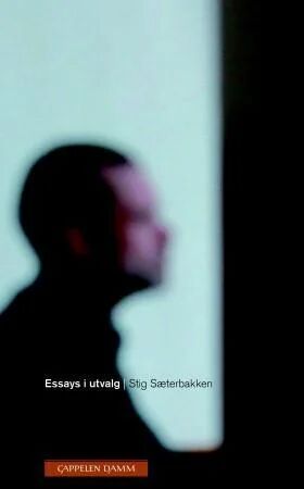 Essays I Utvalg Av Stig Sæterbakken