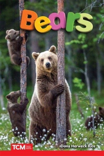 Bears Bears