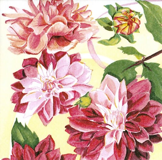 Daybyday servietter 33x33cm dahlia