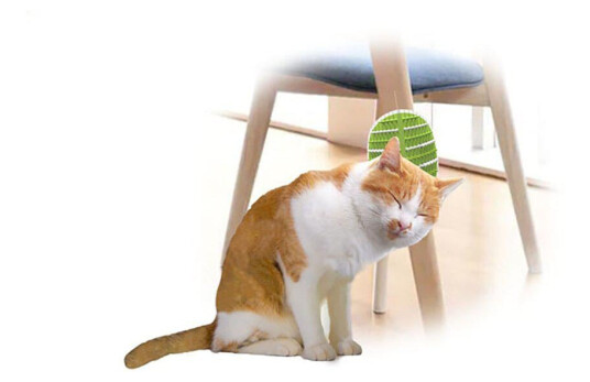 All For Paws Groomer 2 In 1 20.3X11X2.2Cm (781.1025)