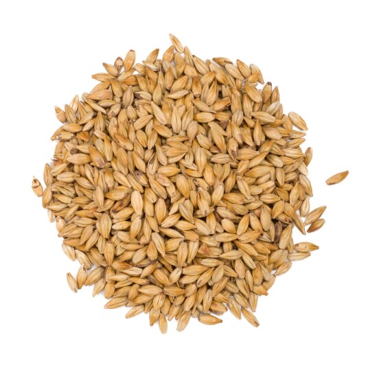 CaraBody 25 kg hel Max 8 EBC - Viking Malt