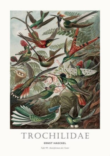 Malerifabrikken Poster Tafel 99 1642148-01-48