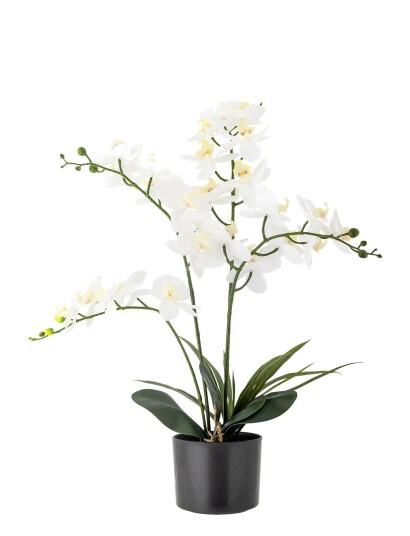 Bloomingville Orchid Plant White Ø 16 cm