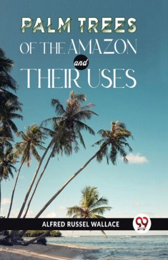 Palm Trees Of The Amazon And Their Uses Palm Trees Of The Amazon And Their Uses