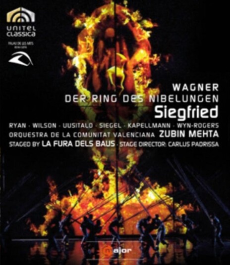 Siegfried: La Fura Dels Baus (Mehta)