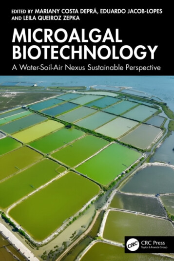 Microalgal Biotechnology A WaterSoilAir Nexus Sustainable Perspective