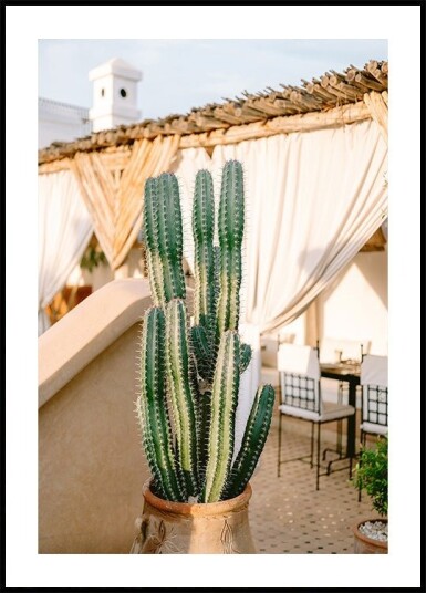 Rooftop Cactus | Morocco Travel Photography Poster Plakat / 50x70cm