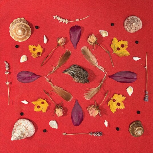 Secret Family  Grouse Head Talisman  CD