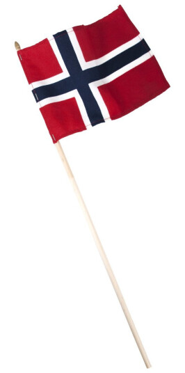 Tøyflagg 22x16cm