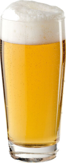 Pasabahçe Ølglass Willie; 62cl, 8.1x18.5 cm (ØxH); Transparent; 0.5 l målestrek, 12 Stykk / Forpakning
