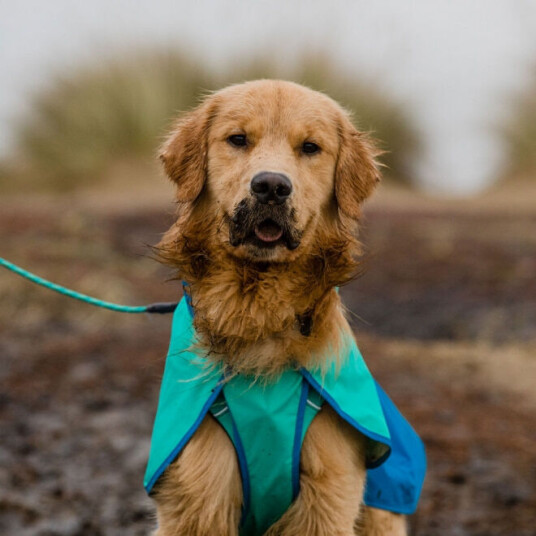 Ruffwear Sun Shower Regnjakke Lyse Blå (Xl)