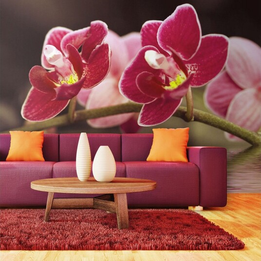 Fototapet Vakker Orkidé Blomster På Vannet 450x270 - Artgeist sp. z o. o.