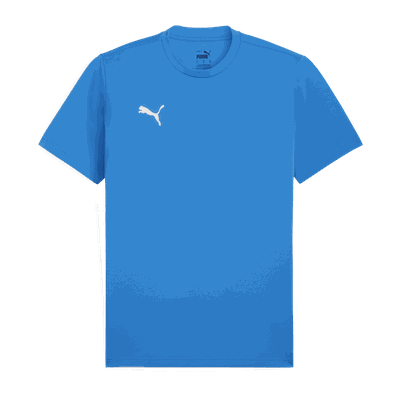 Puma teamRISE Logo Jersey, fotballtrøye, herre Blue M
