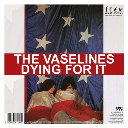 The Vaselines The Pooh Sticks Dying For It C/W Dying For It LP/Vinyl