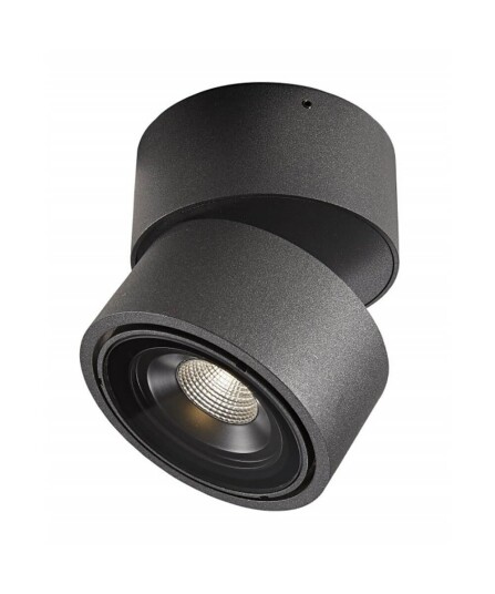 Antidark Easy W100 Udendørsspot LED Sort