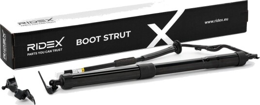 RIDEX 219G1560 Baklukedemper