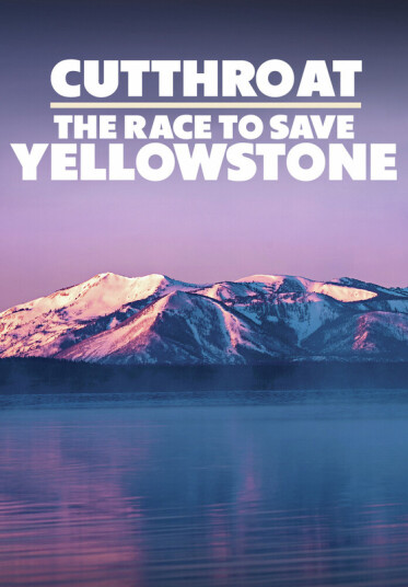 Cutthroat: The Race To Save Yellowstone DVD
