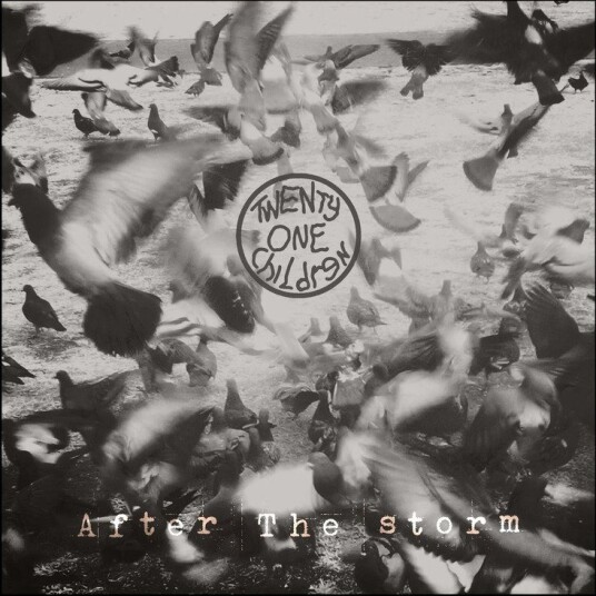 After The Storm Vinyl After The Storm Vinyl