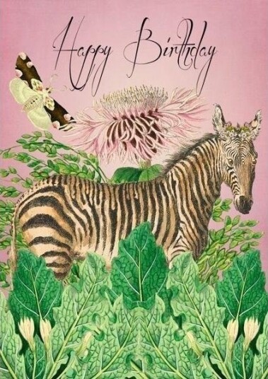 Madame Treacle Kort B6 Med Konvolutt Bursdag Zebra