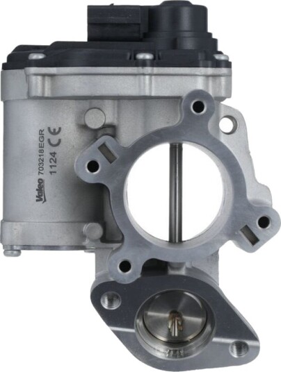 EGR Ventil VALEO 703218