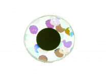 Pro Sportfisher Flat Eyes Pro Sportfisher Flat Eyes