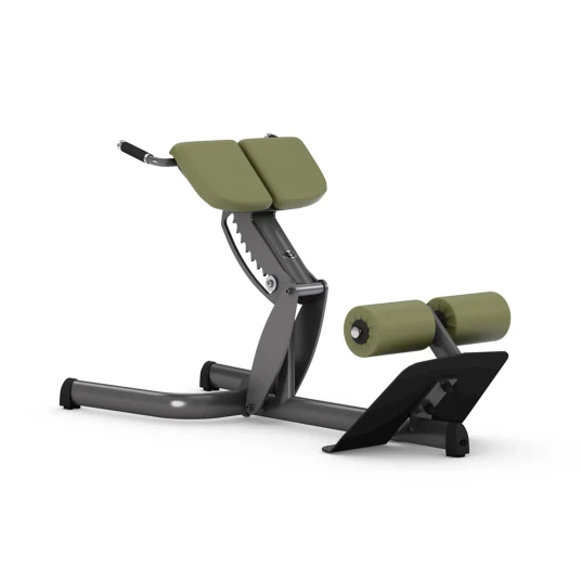 gym80 45° Back Extension gym80 45° Back Extension