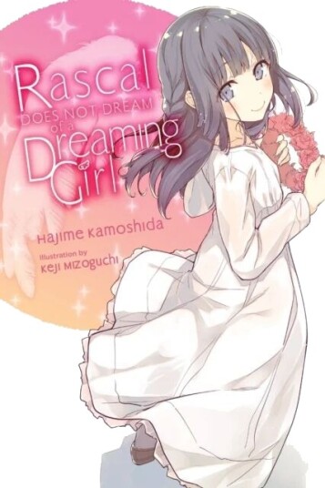 Rascal Does Not Dream Of A Dreaming Girl (Light Novel) Av Hajime Kamoshida
