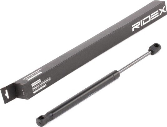 RIDEX 219G0793 Baklukedemper