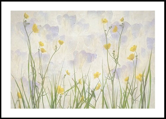 Crocuses bloom Plakat Plakat / 30x40cm