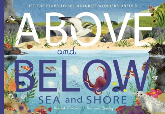 Above And Below: Sea And Shore Av Harriet Evans, Hannah Bailey Above And Below: Sea And Shore Av Harriet Evans, Hannah Bailey