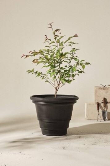 Jotex HOLLY utepotte, diameter 56 cm Svart fairbanks 1672758-05-0 1672758-04-0