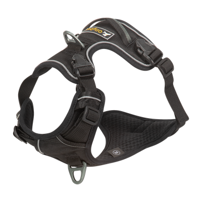 Alpine Reflective Harness Raven hundesele Svart L