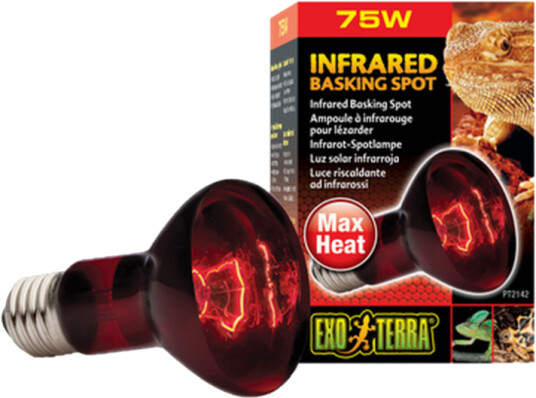 Infrarød Solstrålespot Heat Glo Black 100 W Infrarød Solstrålespot Heat Glo Black 100 W
