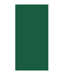 Serviet Duni 40X40 Cm 3-Lag 1/8-Fold Mørkegrøn,5 Pk X 250 Stk
