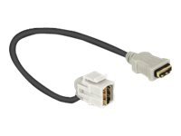 Delock HDMI-kabel Hunkjønn til Hunkjønn 110° med 22 cm lengde