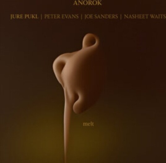 Jure Pukl Melt Uk Vinyl