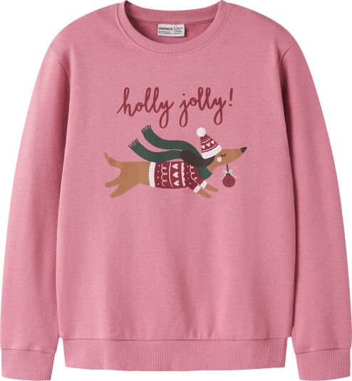 Name It Nkfvertrud Ls Nreg Sweat Bru   WILD ROSE   146 152