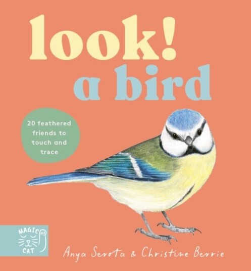 Look! A Bird! Look! A Bird!