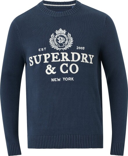 Superdry Genser Applique Graphic Jumper Blå