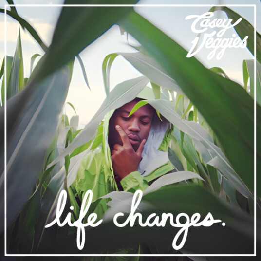 Life Changes Life Changes